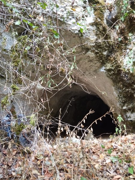 Chevannes - grotte de Chevannes - entrée cavité photo 1, Aurélien Bloch.jpg
Fichier manquant